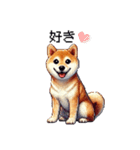 【ドット絵】柴犬40セット（個別スタンプ：21）