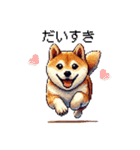 【ドット絵】柴犬40セット（個別スタンプ：22）