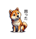 【ドット絵】柴犬40セット（個別スタンプ：25）