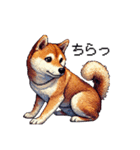 【ドット絵】柴犬40セット（個別スタンプ：28）