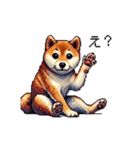 【ドット絵】柴犬40セット（個別スタンプ：30）