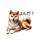 【ドット絵】柴犬40セット（個別スタンプ：36）