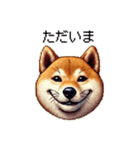 【ドット絵】柴犬40セット（個別スタンプ：38）