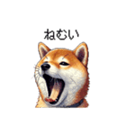 【ドット絵】柴犬40セット（個別スタンプ：39）