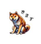 【ドット絵】柴犬40セット（個別スタンプ：40）