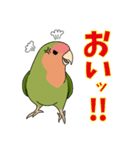 コザクラインコ好きスタンプ1（個別スタンプ：4）