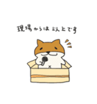 柴犬タロウ様のおもしろスタンプ（個別スタンプ：3）