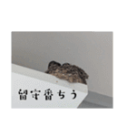 猫と色々動物スタンプ（個別スタンプ：4）