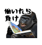 クズニートごりら【働かないゴリラの日常】（個別スタンプ：2）