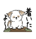 新・シーズー犬【自分の状況を伝える】（個別スタンプ：7）