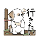 新・シーズー犬【自分の状況を伝える】（個別スタンプ：19）