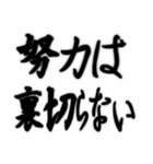 毎日使えるカッコイイ名言集 アツく燃える（個別スタンプ：5）