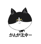 侵入猫λ（個別スタンプ：1）