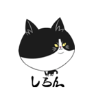 侵入猫λ（個別スタンプ：3）