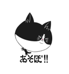 侵入猫λ（個別スタンプ：5）