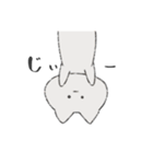 かわいい真顔スタンプ（個別スタンプ：10）