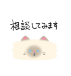 敬語にゃんこちゃん＊（個別スタンプ：8）