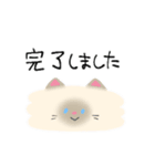 敬語にゃんこちゃん＊（個別スタンプ：16）