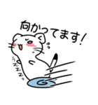 もっちりおこじょさん（個別スタンプ：16）