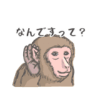 動物いっぱいあいづちスタンプ【ゆる敬語】（個別スタンプ：8）