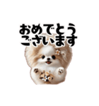 モフ犬の敬語＆よいしょスタンプ（個別スタンプ：4）