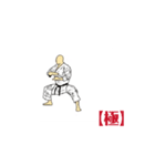 MOVING  KARATE  KATA  【極】ver2（個別スタンプ：14）