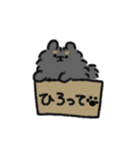 ふんわりポメラニアン黒（個別スタンプ：30）