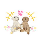 もこもこ手作りワンちゃんたち。（個別スタンプ：5）