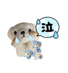 もこもこ手作りワンちゃんたち。（個別スタンプ：6）