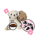 もこもこ手作りワンちゃんたち。（個別スタンプ：7）