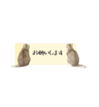 付箋ねこたち（個別スタンプ：8）