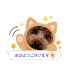 ウメ子の日常スタンプ2（個別スタンプ：4）