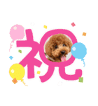 ウメ子の日常スタンプ2（個別スタンプ：7）