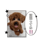 ウメ子の日常スタンプ2（個別スタンプ：8）