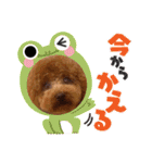 ウメ子の日常スタンプ2（個別スタンプ：17）