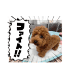 ウメ子の日常スタンプ2（個別スタンプ：24）