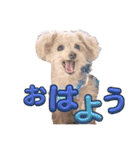 ろくさくのスタンプ（個別スタンプ：1）