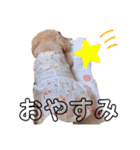 ろくさくのスタンプ（個別スタンプ：12）