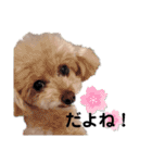 ろくさくのスタンプ（個別スタンプ：14）
