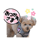 ろくさくのスタンプ（個別スタンプ：20）