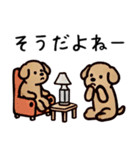 ゆる茶わんこ（日常生活編）（個別スタンプ：1）