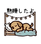 ゆる茶わんこ（日常生活編）（個別スタンプ：21）