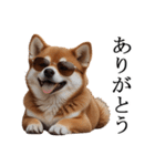 シブ犬【家族連絡】（個別スタンプ：3）