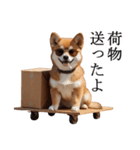 シブ犬【家族連絡】（個別スタンプ：27）