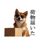 シブ犬【家族連絡】（個別スタンプ：28）