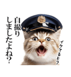 リアル猫警察官（個別スタンプ：20）