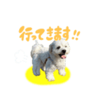 わんはむ日記（個別スタンプ：5）