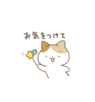 いぬ ねこ 毎日スタンプ（個別スタンプ：18）