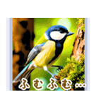 世界の鳥図鑑 2:日本語（個別スタンプ：1）