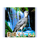 世界の鳥図鑑 2:日本語（個別スタンプ：11）